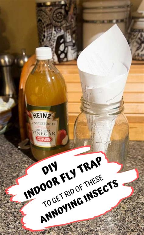 At home fly trap. Things To Know About At home fly trap. 